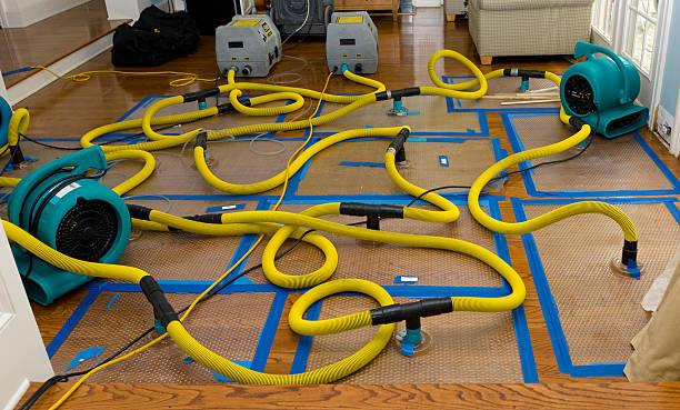 Professional Burst Pipe Water Damage technician working in Warren, PA